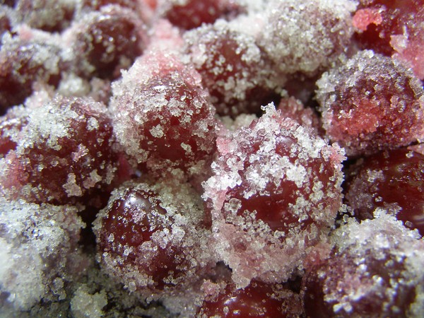 Ciliegie in inverno - ricette - marmellata con semi e senza semi, briefing di cinque minuti, marmellata, gelatina senza gelatina, composta di ciliegie