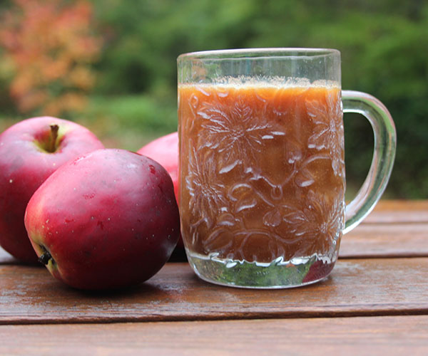 Come preparare il succo di mela per l'inverno