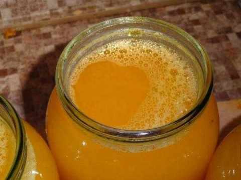 Succo di mele per l'inverno