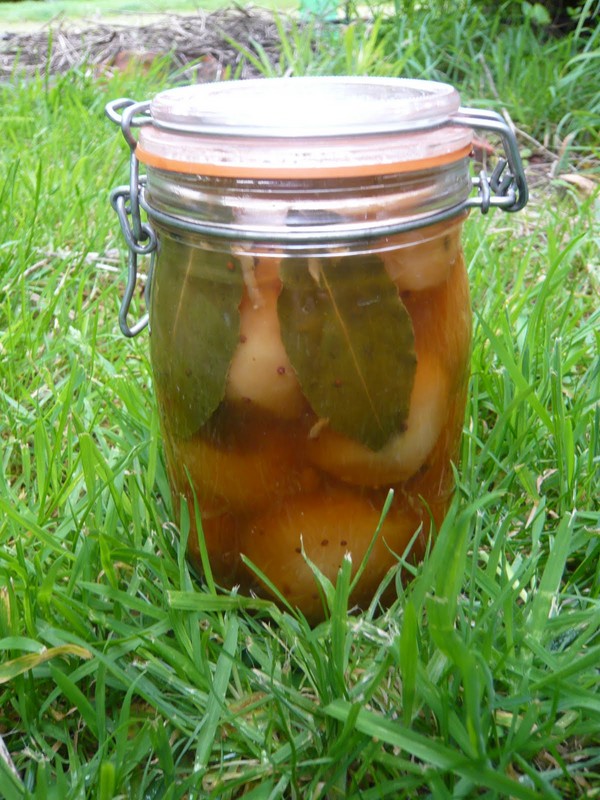 Mele per l'inverno nelle banche - billette e ricette - ammollo e spicchi, composta, marmellata, billette. Come mantenere le mele in inverno a casa