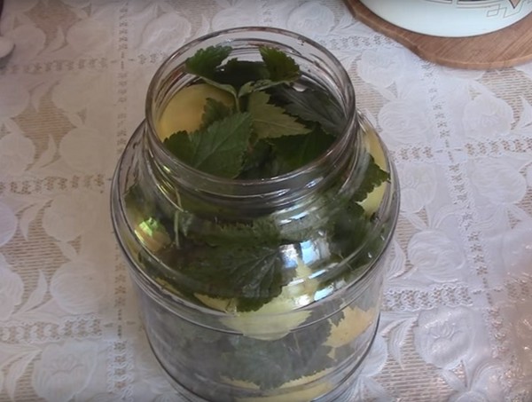 Mele per l'inverno nelle banche - billette e ricette - ammollo e spicchi, composta, marmellata, billette. Come mantenere le mele in inverno a casa