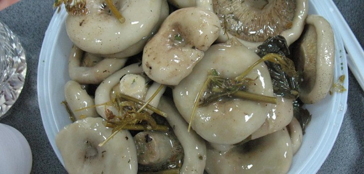 Raccolta di funghi per l'inverno