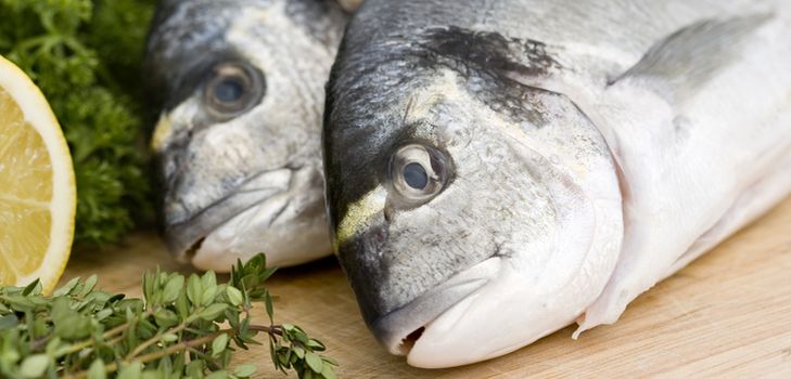 Pesce in scatola