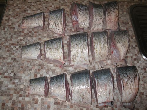 Pesce in scatola