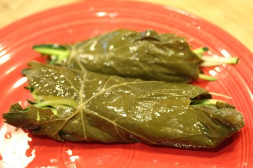 La ricetta per la raccolta delle foglie di vite per dolma Come sottaceto foglie di vite per dolma