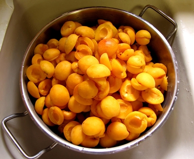 Billette di albicocche per l'inverno