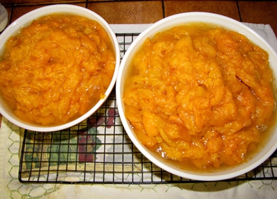 Billette di albicocche per l'inverno