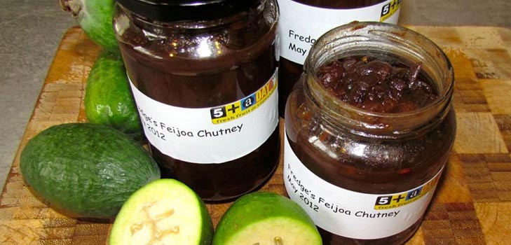 Bolle di feijoa per l'inverno, le migliori ricette con una foto