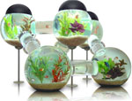 Interior Design: Acquario Interior Design: Acquario