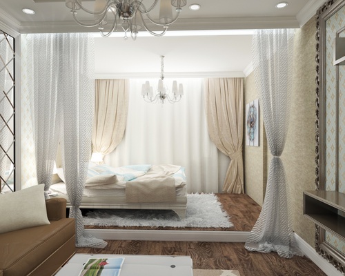 Soggiorno e camera da letto in una stanza (foto)