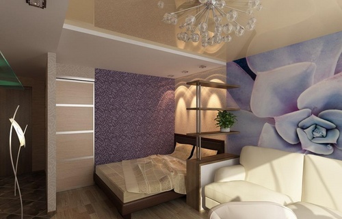 Soggiorno e camera da letto in una stanza (foto)