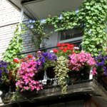 Come decorare un balcone Come decorare un balcone