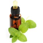 Olio essenziale di menta Olio essenziale di menta