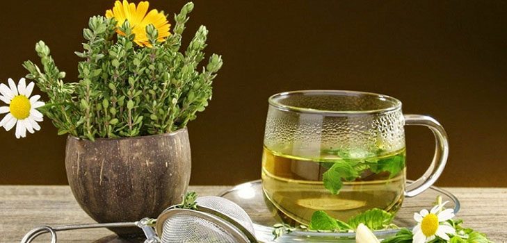 Phytoalchemia: erbe per bellezza e salute