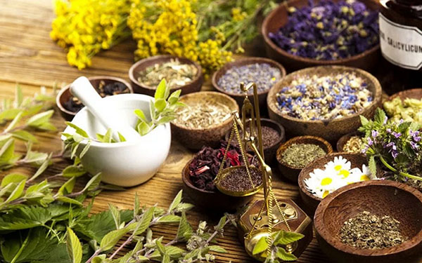Phytoalchemia: erbe per bellezza e salute