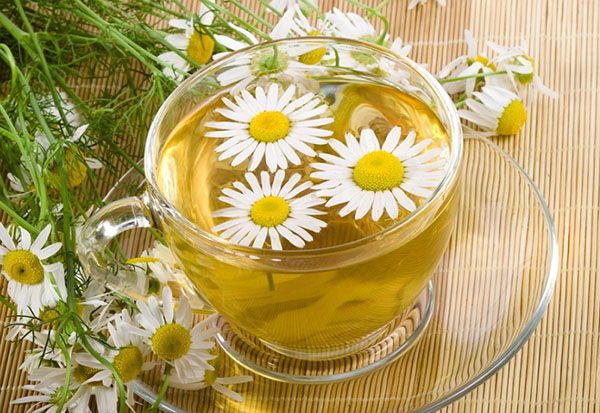 Phytoalchemia: erbe per bellezza e salute
