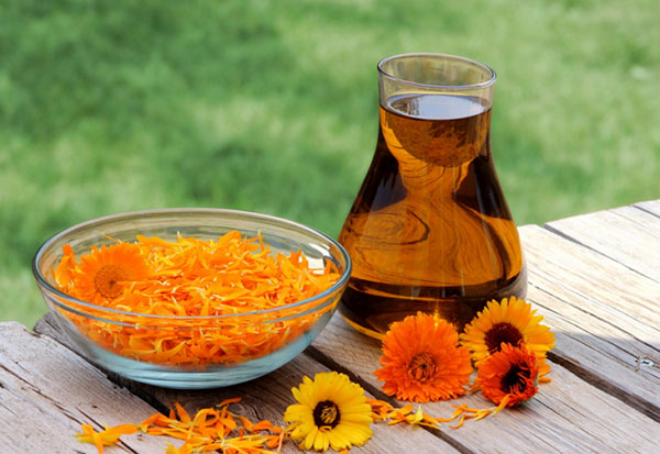 Phytoalchemia: erbe per bellezza e salute