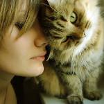 Come i gatti trattano le persone