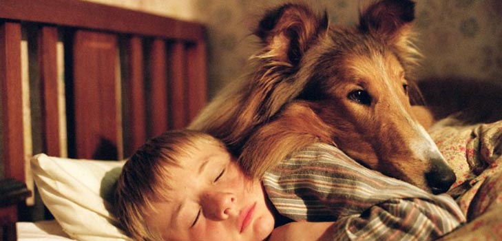 Quali malattie dei cani sono pericolose per l'uomo
