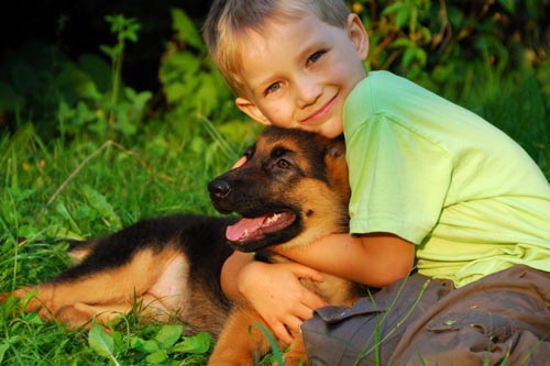 Quali malattie dei cani sono pericolose per l'uomo
