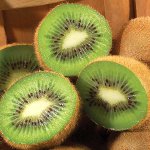 Dieta di Kiwi per perdita di peso Dieta di Kiwi per perdita di peso