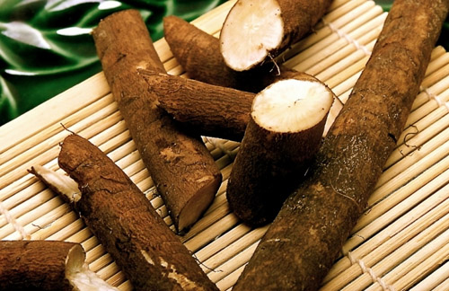 Proprietà terapeutiche del burdock e della sua applicazione