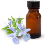 L'olio di Patchouli e le sue proprietà benefiche L'olio di Patchouli e le sue proprietà benefiche