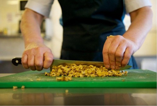 I funghi possono essere fritti o salati? La risposta è, possono funghi in gravidanza, in questo articolo