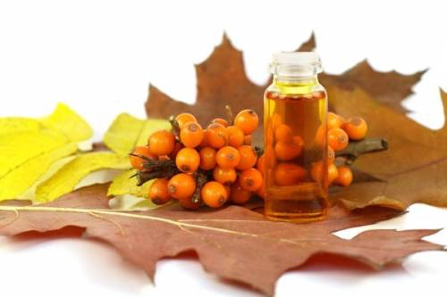 Farmacia nazionale: come fare l'olio dal mare-buckthorn