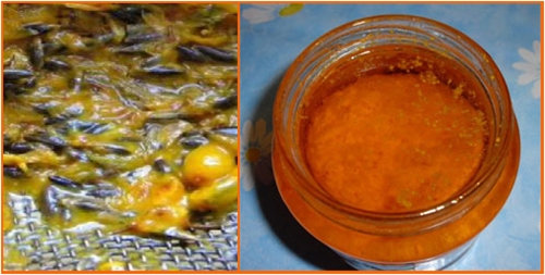 Farmacia nazionale: come fare l'olio dal mare-buckthorn