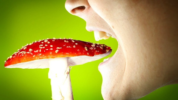 Avvelenamento alimentare