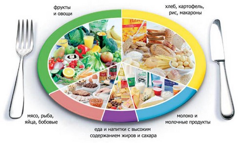 Nutrizione corretta per perdere peso - quello che dicono recensioni