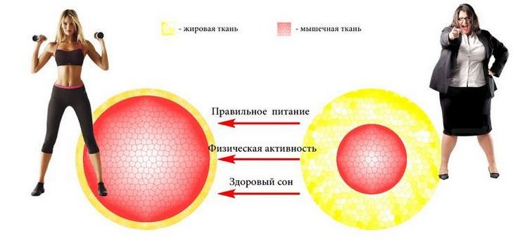 Come riconoscere e cosa fare in caso di disturbi metabolici