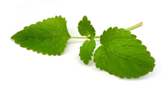 Proprietà della menta