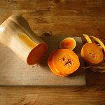 Dieta di zucca
