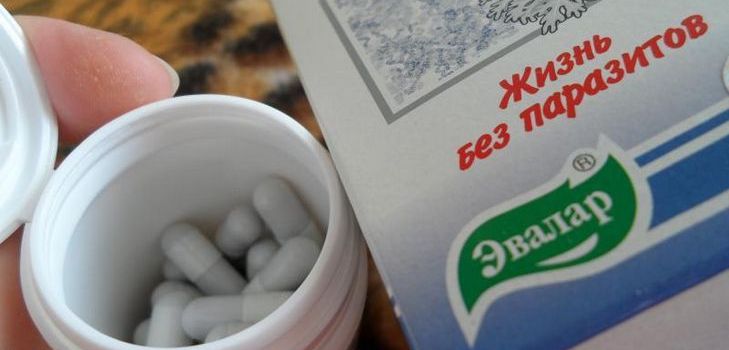 Un farmaco antiparassitario è Troychchatka Evalar. Composizione. Istruzioni. Recensioni