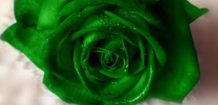 Scarico verde nelle donne: le ragioni per l'apparenza